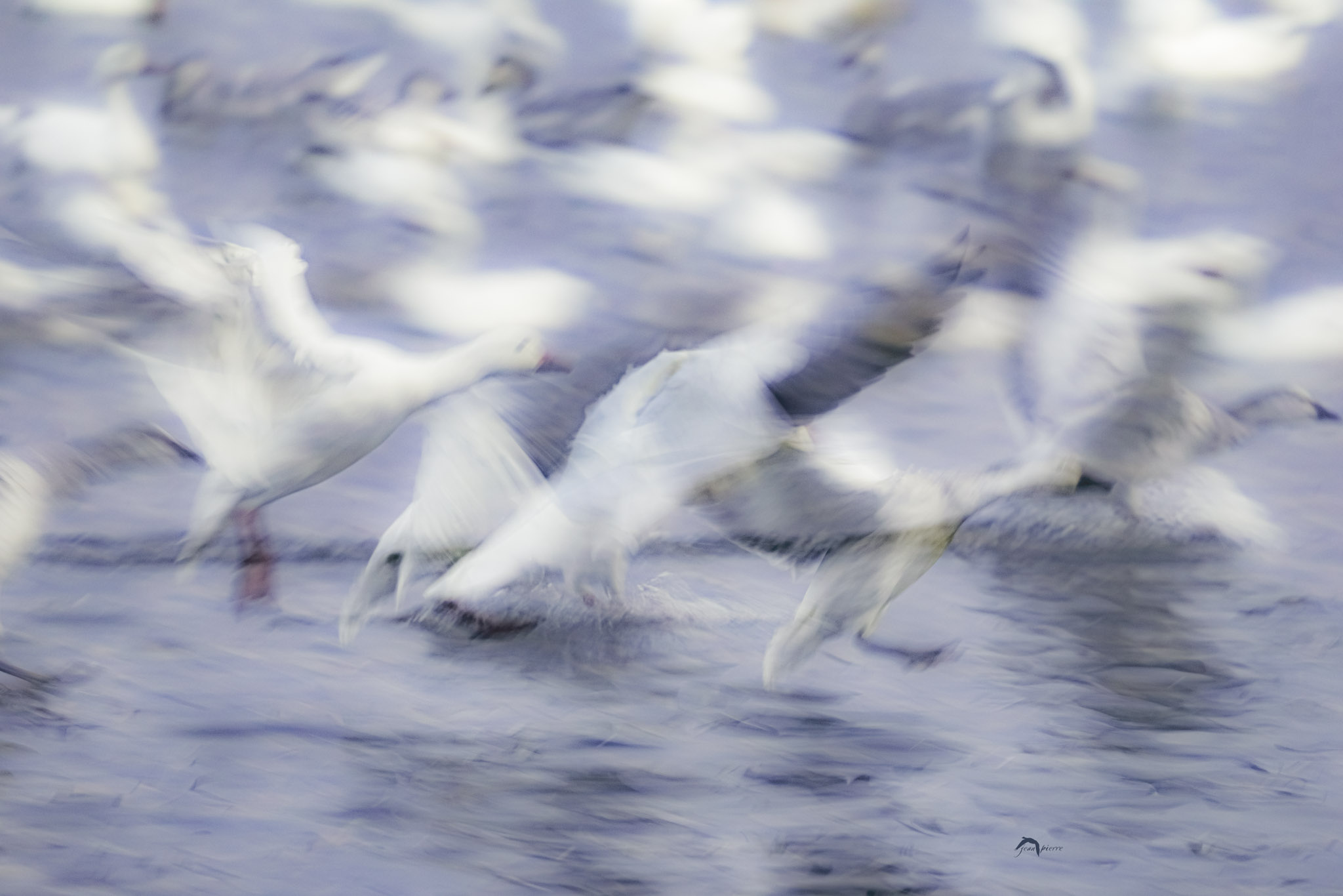 Jean-Pierre Chapleau